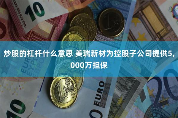 炒股的杠杆什么意思 美瑞新材为控股子公司提供5,000万担保