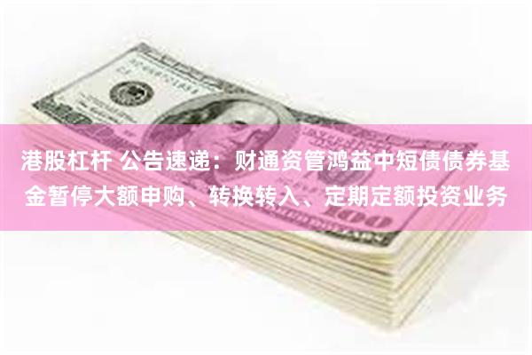 港股杠杆 公告速递：财通资管鸿益中短债债券基金暂停大额申购、转换转入、定期定额投资业务