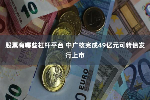 股票有哪些杠杆平台 中广核完成49亿元可转债发行上市