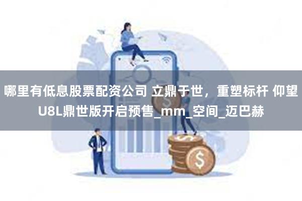 哪里有低息股票配资公司 立鼎于世，重塑标杆 仰望U8L鼎世版开启预售_mm_空间_迈巴赫