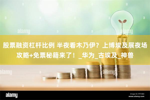 股票融资杠杆比例 半夜看木乃伊？上博埃及展夜场攻略+免票秘籍来了！_华为_古埃及_神兽