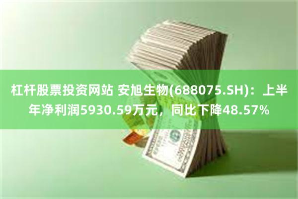 杠杆股票投资网站 安旭生物(688075.SH)：上半年净利润5930.59万元，同比下降48.57%