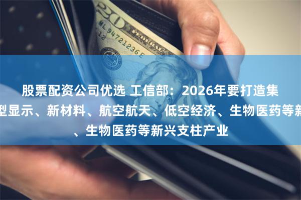 股票配资公司优选 工信部：2026年要打造集成电路、新型显示、新材料、航空航天、低空经济、生物医药等新兴支柱产业